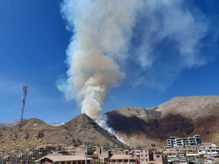 Nuevo incendio forestal se se registra en Caylloma