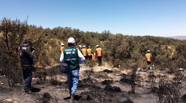 Incendios forestales dañaron más de 2 mil hectáreas en Castilla y Caylloma