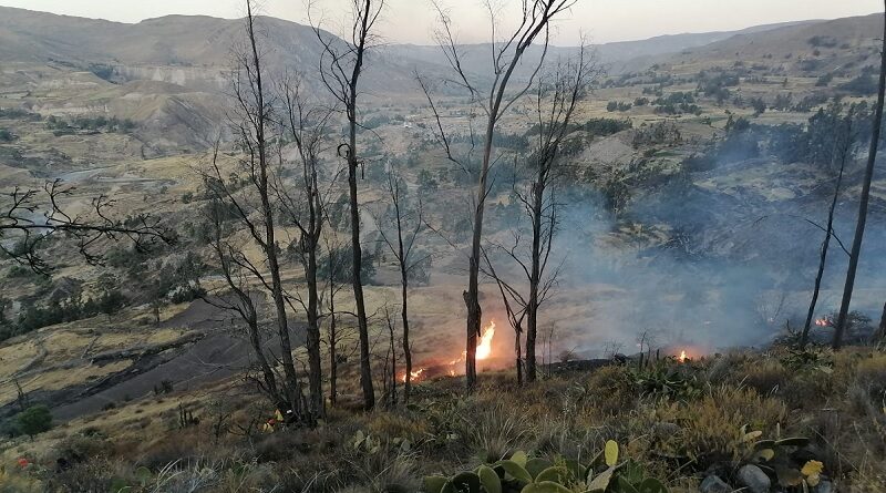 Nuevo incendio forestal afecta 3 mil 864 hectáreas en Caylloma