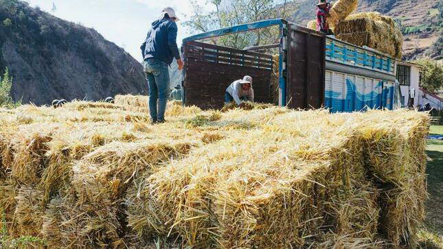 Agro Rural dispone S/ 179 millones para atención ante déficit hídrico