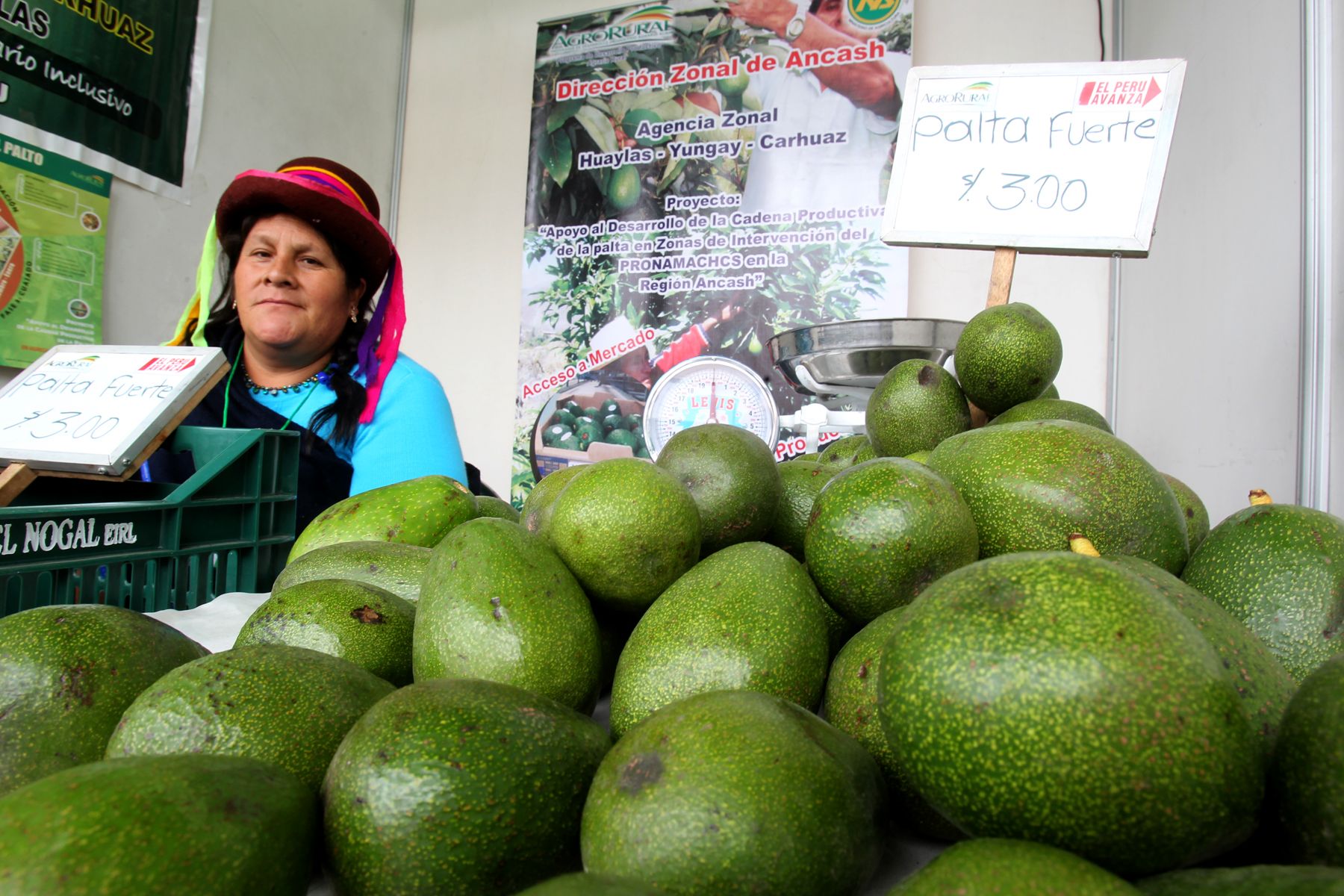 Palta cerraría este año con 20 soles el kilo en mercados