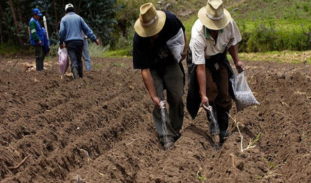 Casi 50% de agricultores cambian de giro por recesión económica