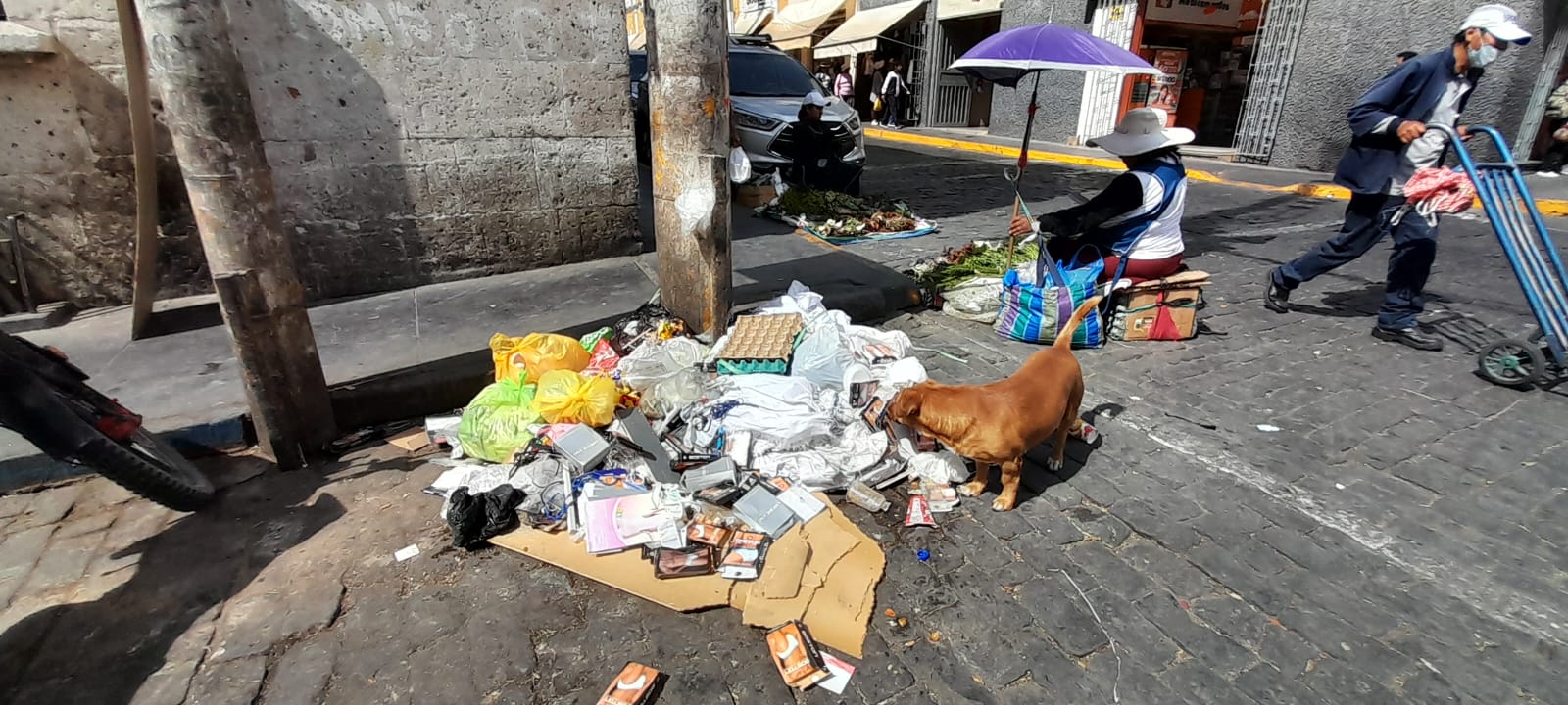 FOTO DE HOY 22 DE OCTUBRE