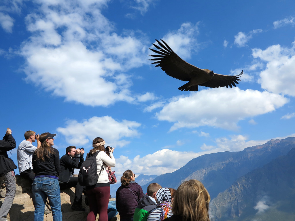 Turismo en el Colca cerraría el 2023 con 30% menos visitantes que el año pasado