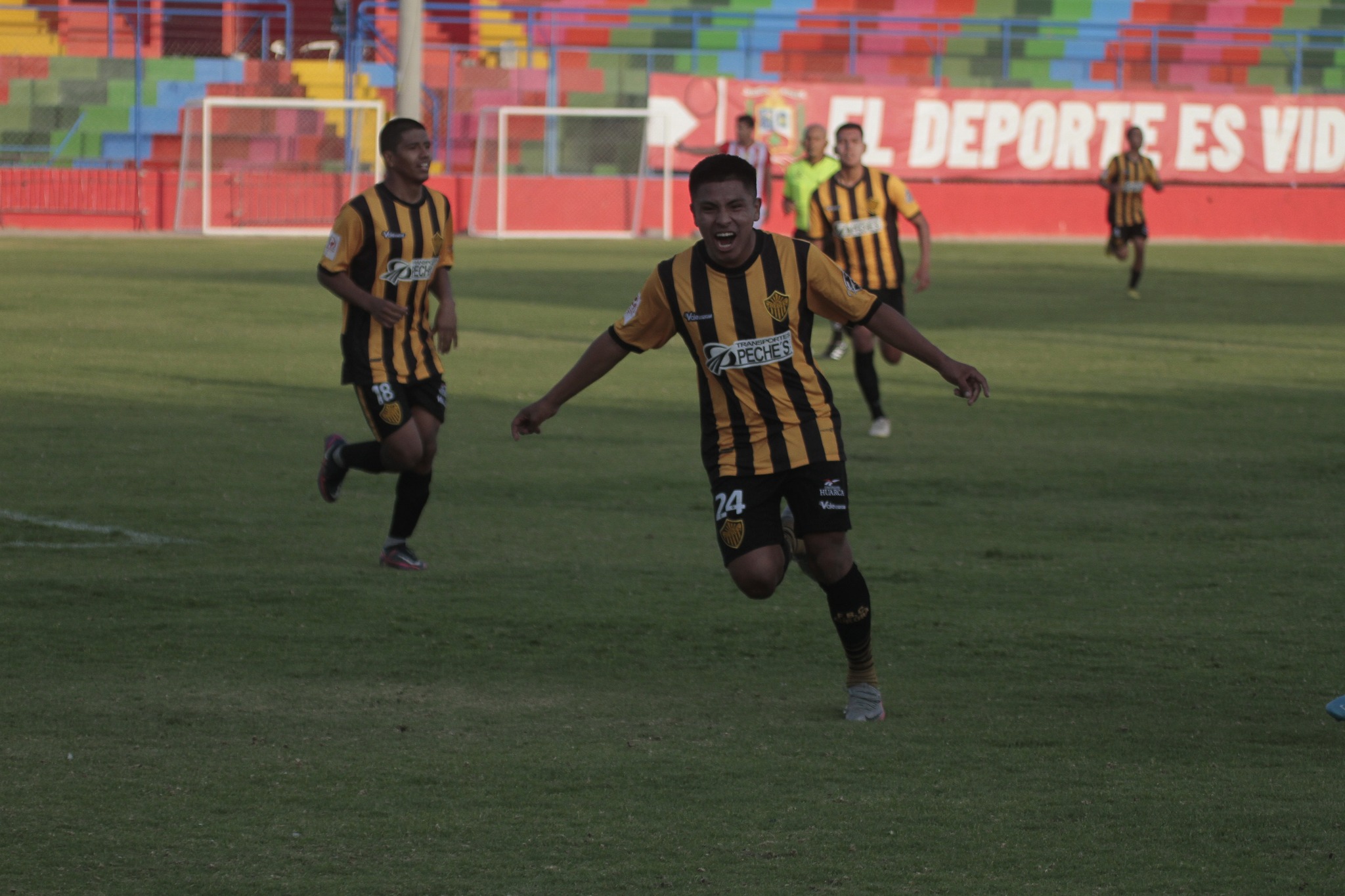 Saldrán como grandes “Tigres”