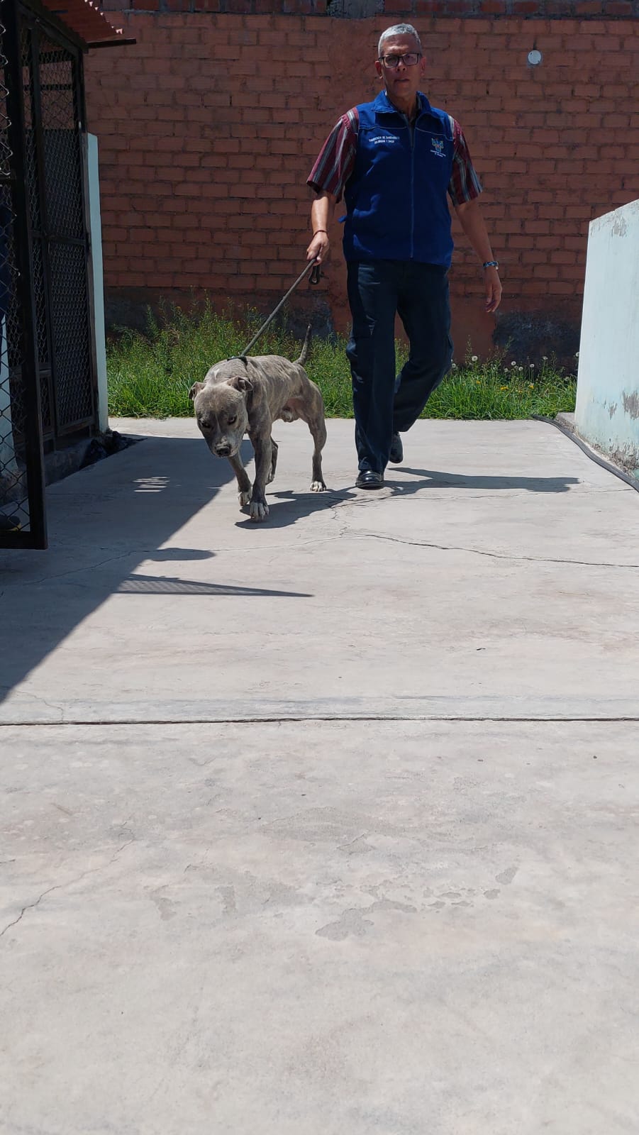 Reforzarán brigada canina de la Municipalidad Provincial