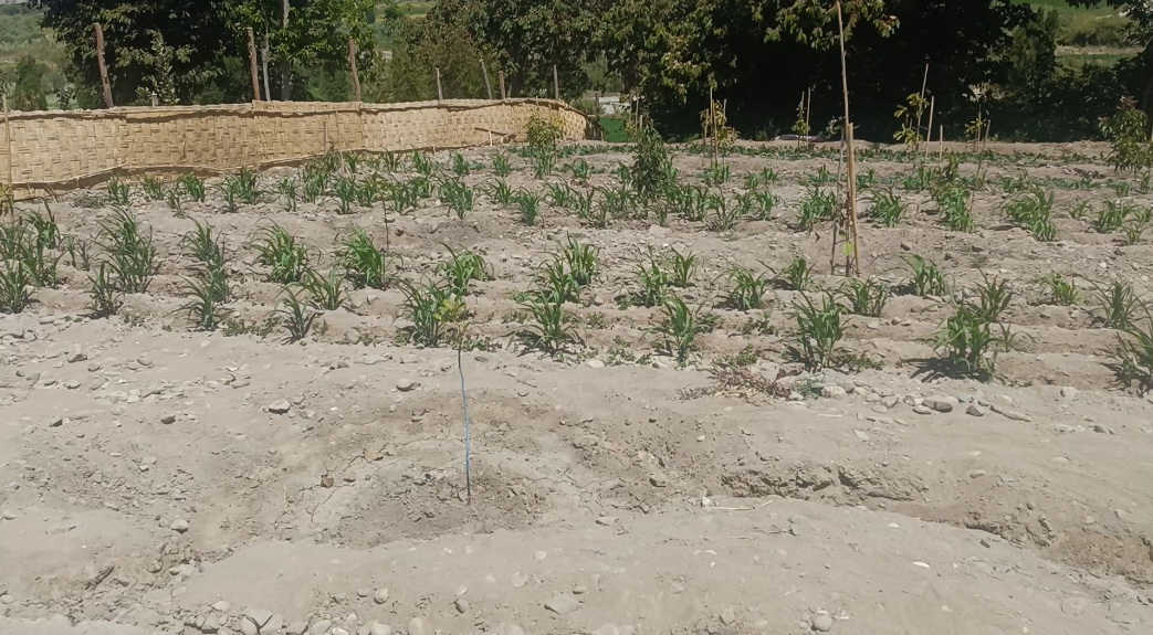 Agricultores de Santa Rita de Siguas dejan sin agua a tres pueblos con muro