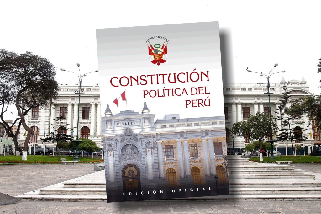 CONSTITUCION DE 1993: ¿LEGITIMADA EN SU EJERCICIO?