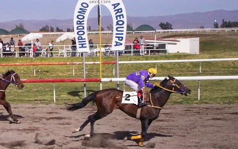 Clásico UCSM se corre mañana en hipódromo Arequipa