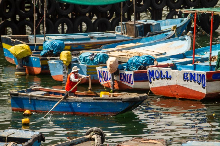 Produce busca fortalecer sector pesca ante cambios climáticos