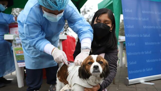 Vacunación antirrábica canina culmina hoy en Arequipa