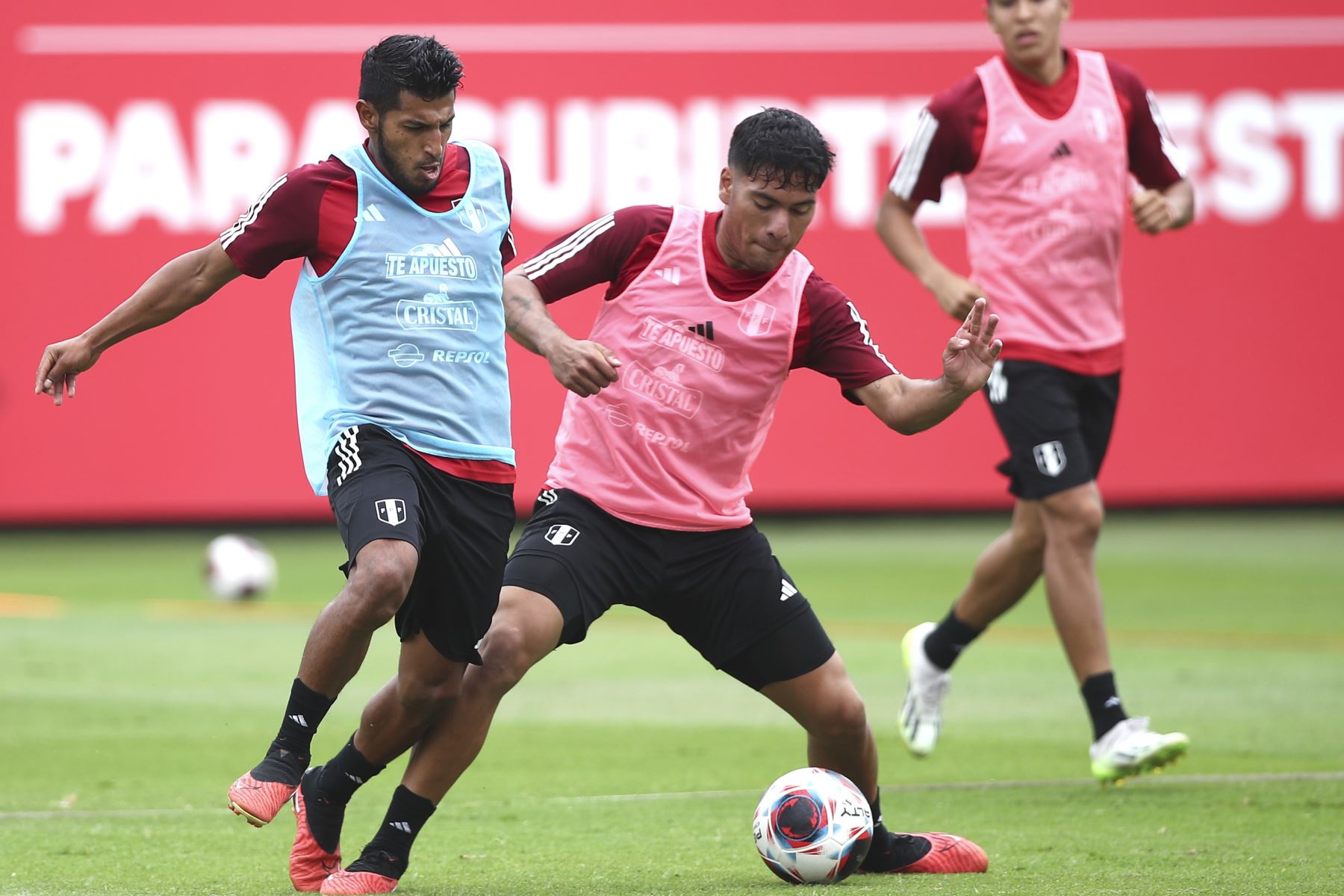 Perú continúa entrenando para enfrentar a Bolivia y Venezuela: Eliminatorias