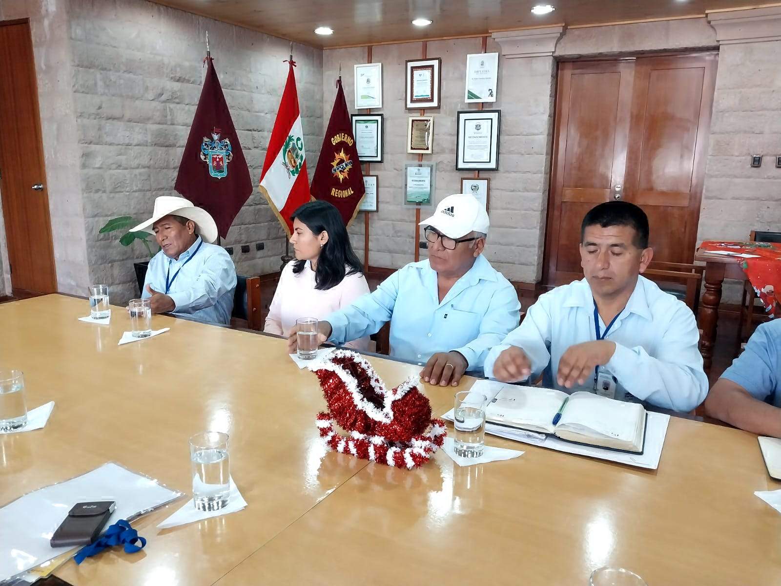 Reunión en PCM mañana para construcción de represa en Islay