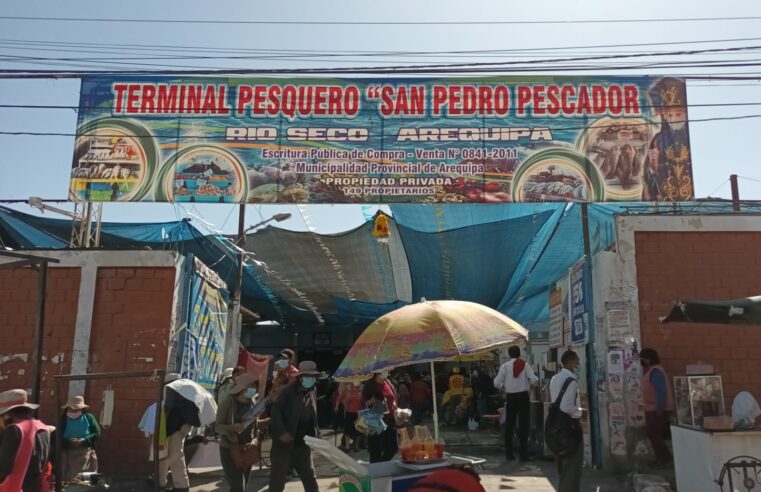 Bonito, choro y tiburón azul no están ingresando al Terminal Pesquero Río Seco