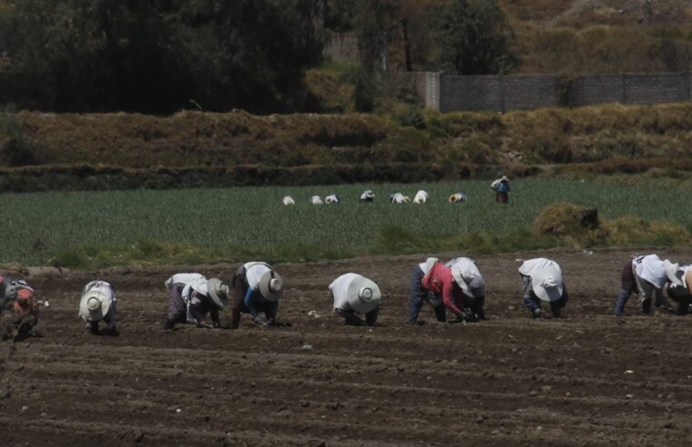 Agricultores totalmente desinformados sobre el Fenómeno del Niño