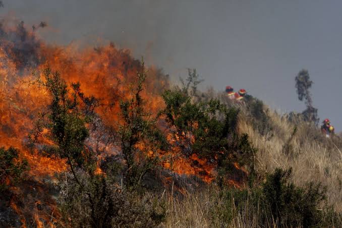 Incendios forestales afectaron 3 mil 427 hectáreas de área verdes