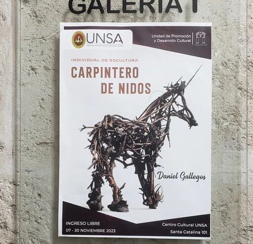 “CARPINTERO DE NIDOS”