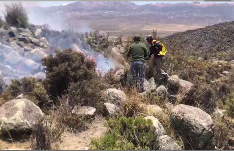 Elaboran plan preventivo contra incendios forestales en región