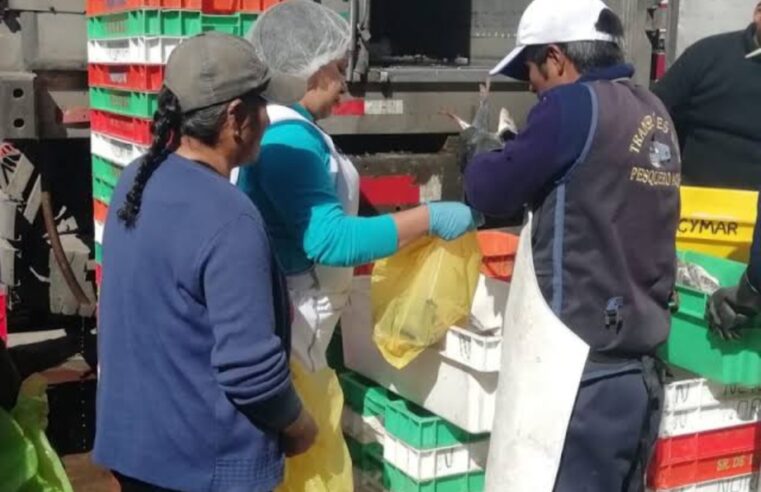 Comerciantes de Río Seco donan más de 1 tonelada de pescados a ollas comunes