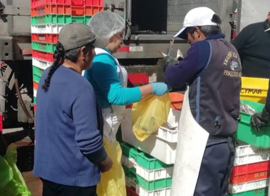 Comerciantes de Río Seco donan más de 1 tonelada de pescados a ollas comunes