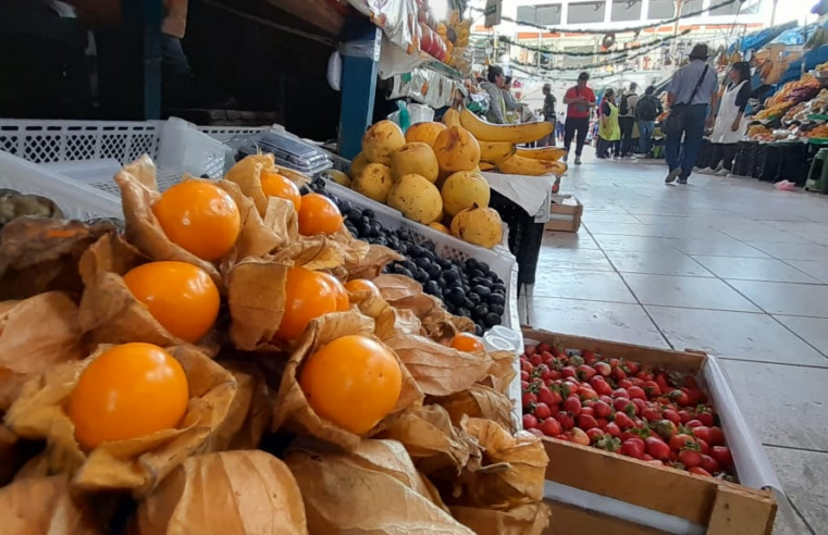 Agricultores deben impulsar producción de aguaymanto