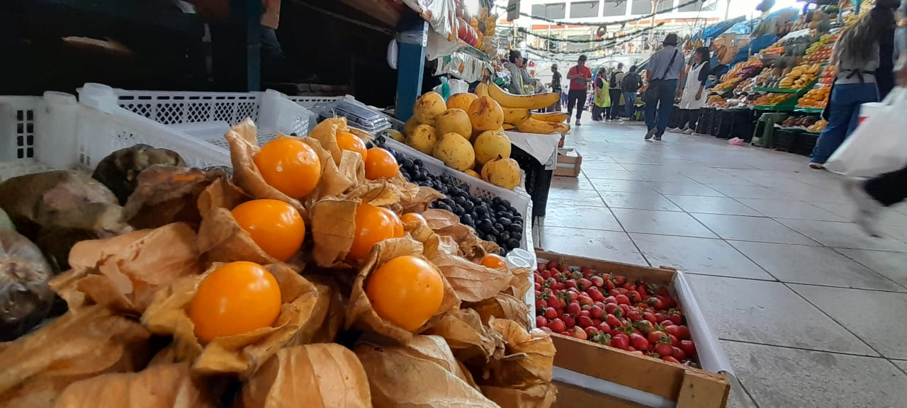 Agricultores deben impulsar producción de aguaymanto