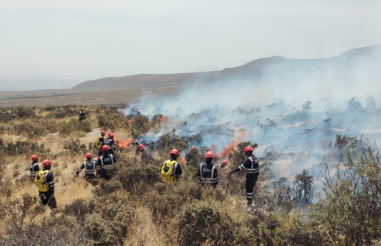 Incendio en Chiguata afectó 50 hectáreas de área verdes 