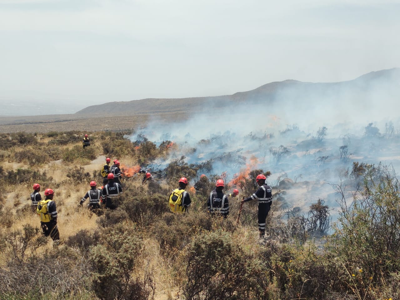 Incendio en Chiguata afectó 50 hectáreas de área verdes 