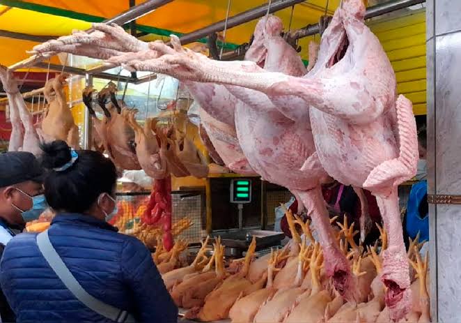 Arequipa: Empiezan a vender pavos a 15 soles el kilo por Navidad