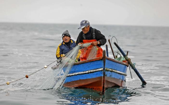 Aprueban 80 000 bonos para pescadores artesanales