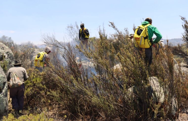 Ayudan a mitigar incendio forestal 120 soldados en Caravelí