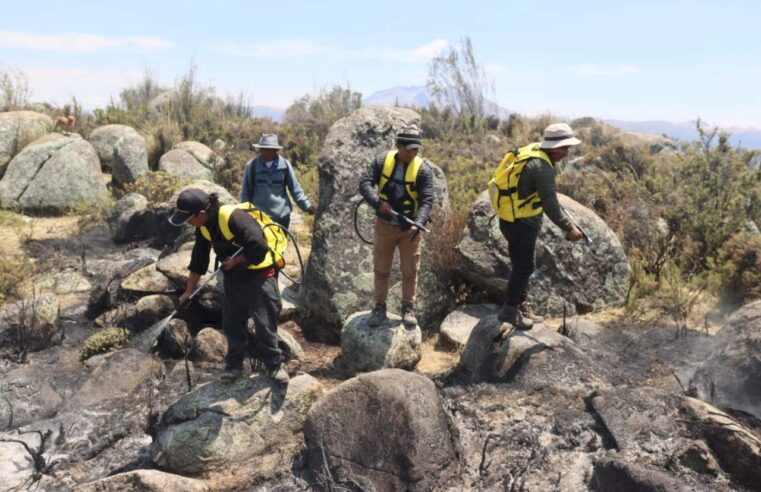 Autoridades  tratan de extinguir incendio forestal en Caravelí