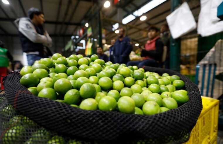 Precio del limón subirá otra vez en los mercados