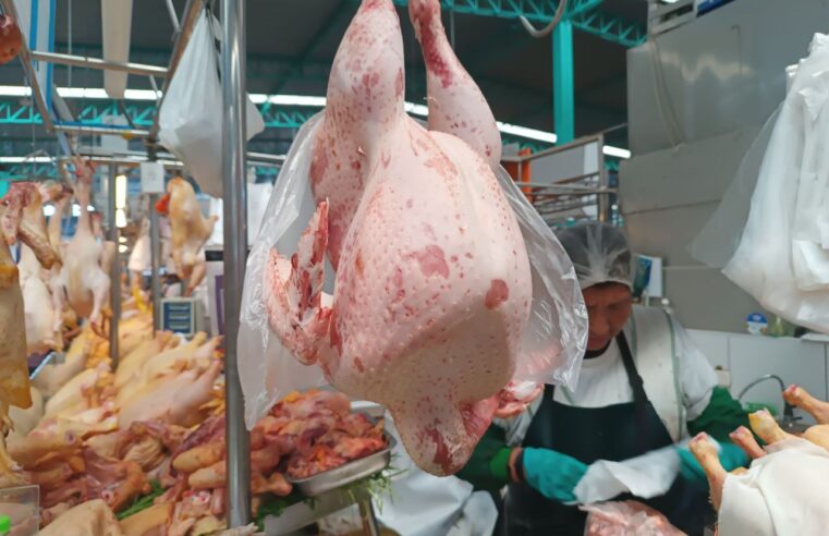 Mercados listos para ofertar pavo y pavipolllo en fiestas