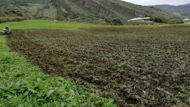 Agro Rural entrega 705 kits para mitigar impacto de déficit hídrico