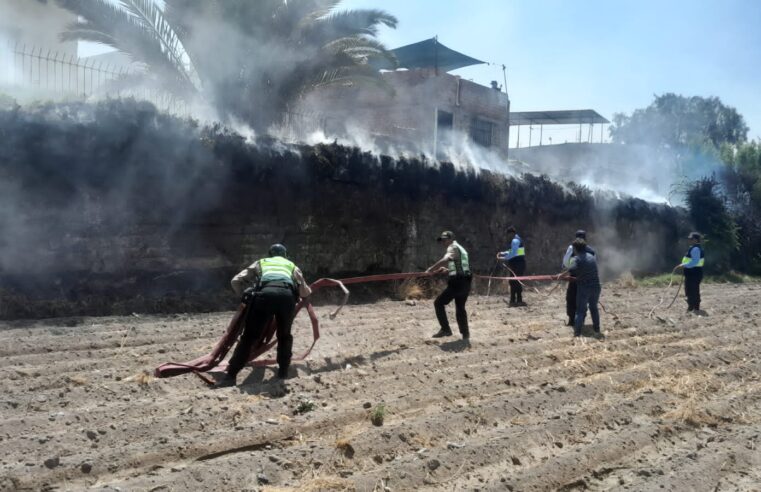 Registran incendio en cultivos de Paucarpata