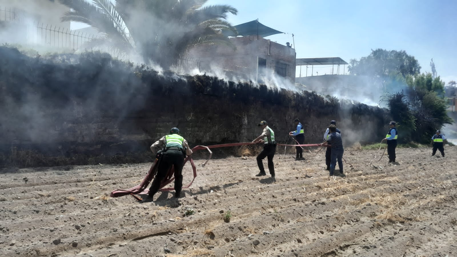 Registran incendio en cultivos de Paucarpata