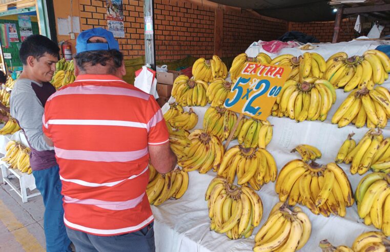 Precios de sandía y plátano disminuyen en mercados