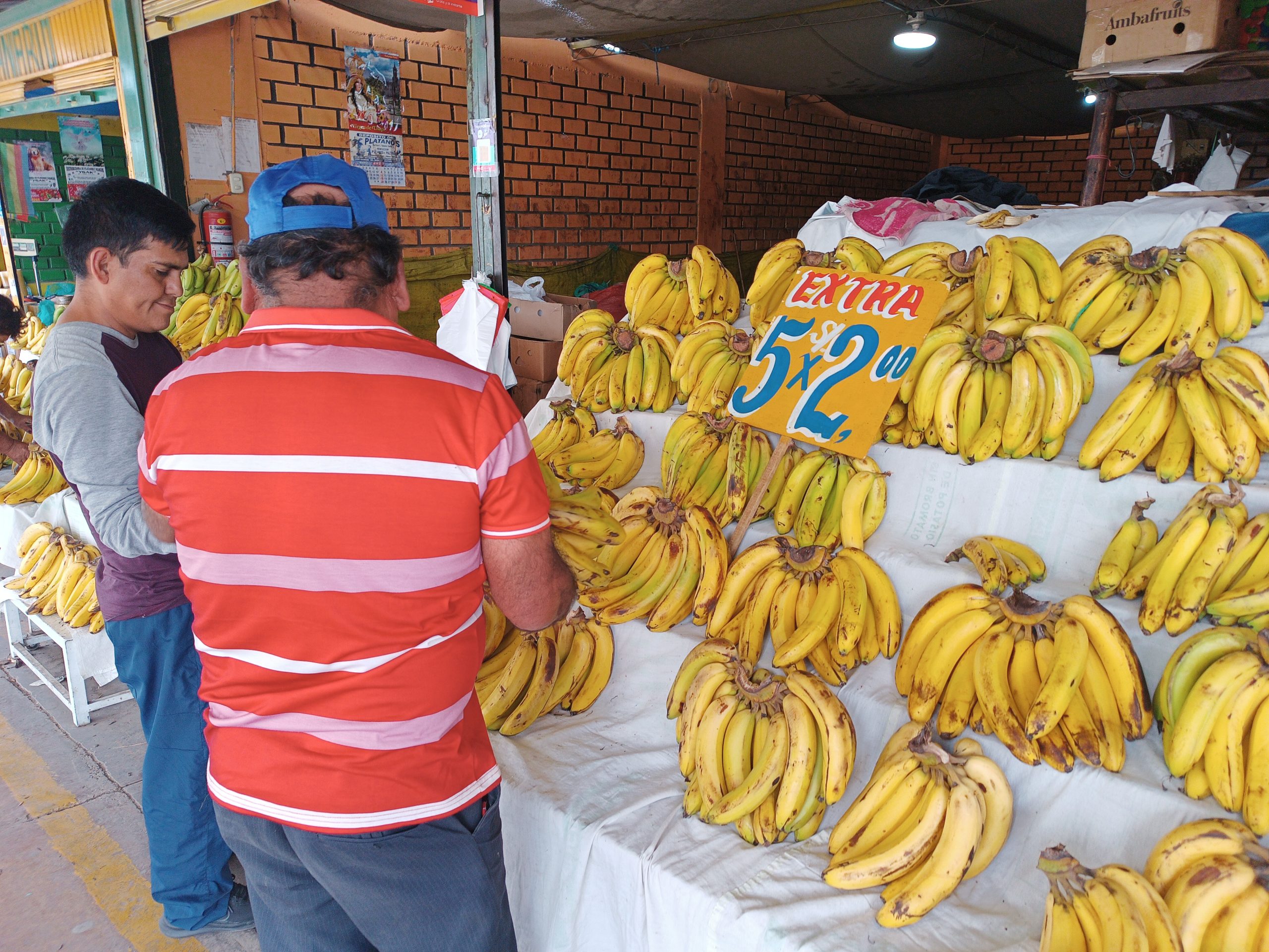 Precios de sandía y plátano disminuyen en mercados