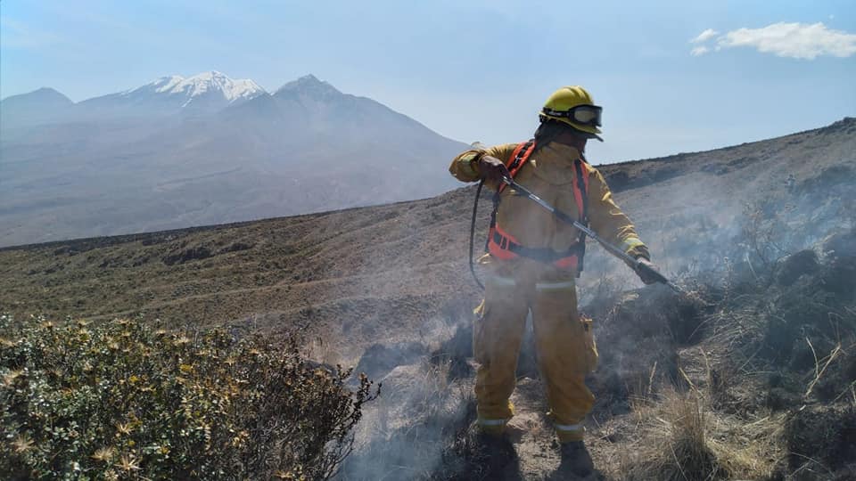 Arequipa perdió alrededor de 4 450 hectáreas de áreas verdes