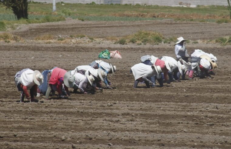 Agricultores tendrán agua para sus cultivos durante el 2024