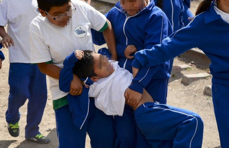 Indecopi sancionó 20 colegios el año pasado por bullying