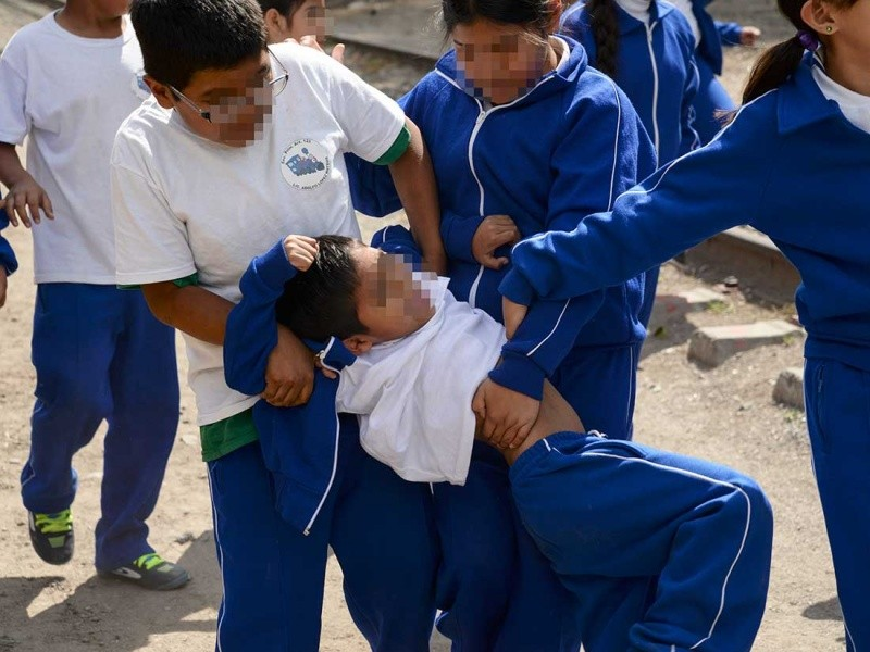 Indecopi sancionó 20 colegios el año pasado por bullying