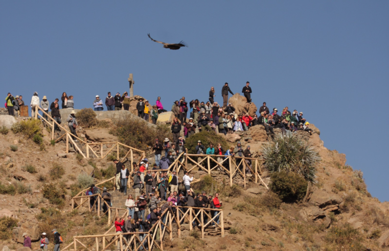 Actividad turística en el Valle del Colca se recupera en última semana