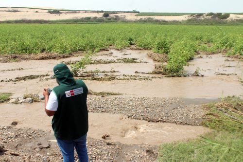 Desborde del río Pisco arrasa e inunda cultivos en Humay