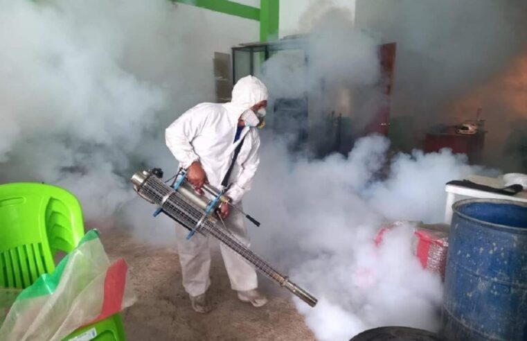 Programan fumigación en Casma ante alarmante incremento de dengue