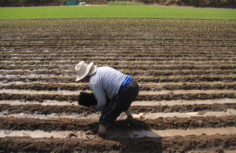 Arequipa cierra el 2023 con mayor caída de su PBI trimestral desde la pandemia