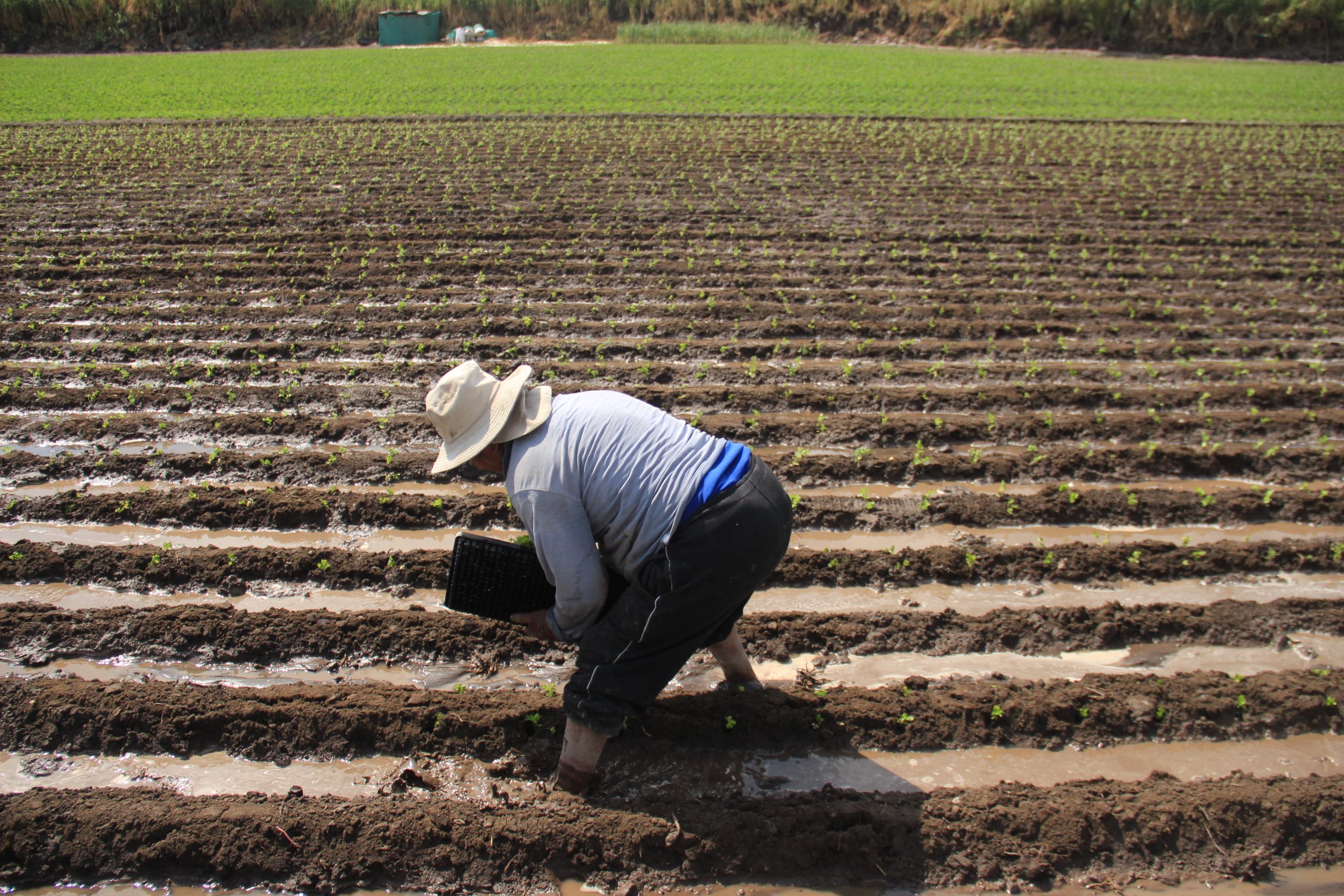 Arequipa cierra el 2023 con mayor caída de su PBI trimestral desde la pandemia