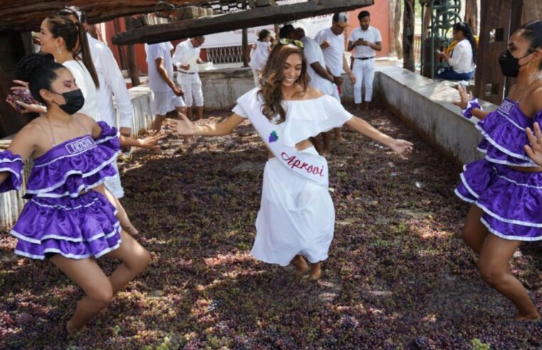 Ica: Ultiman detalles para el Festival de la Vendimia