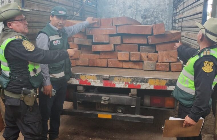 Decomisan madera ilegal de cedro valuado en más de 19 mil soles en Arequipa